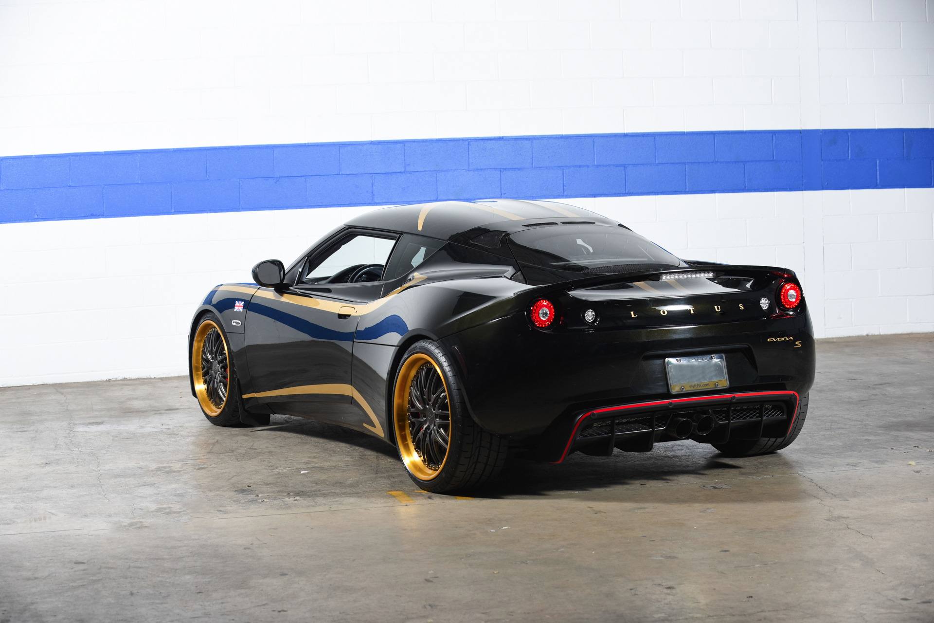 Lotus evora s