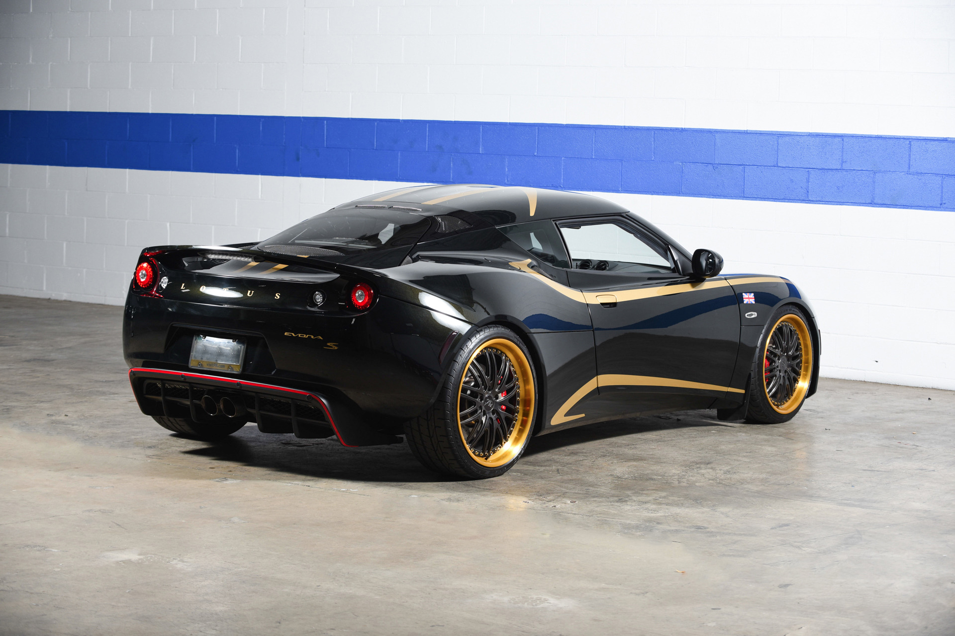 Lotus evora s